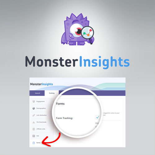 MonsterInsights – Forms Tracking Addon