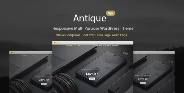 Antique – Responsive Personal Portfolio WordPress Theme